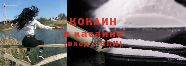 сатива Сатка