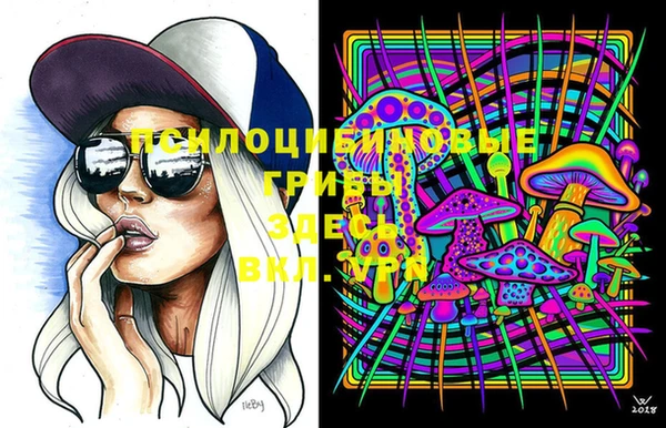 дурь Бикин