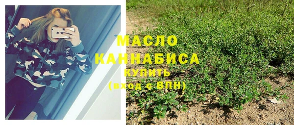Альфа ПВП Тавда