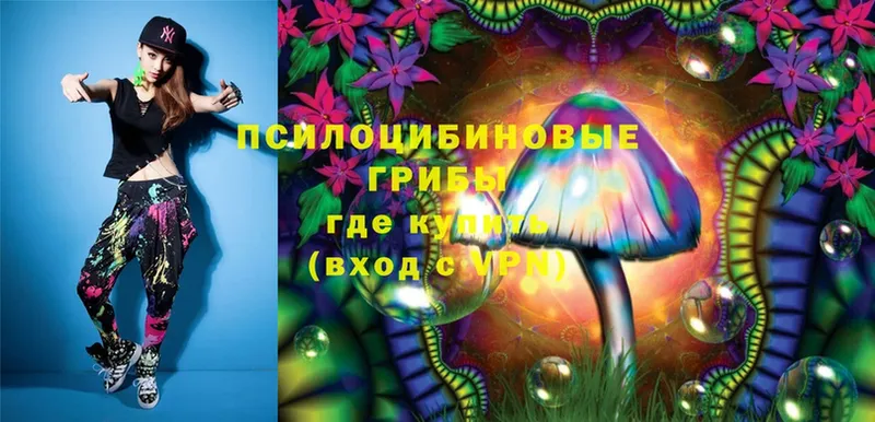 Псилоцибиновые грибы Magic Shrooms  закладка  MEGA зеркало  Выборг 