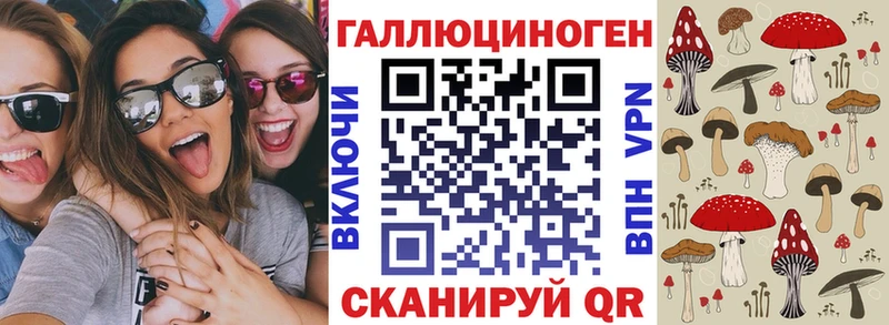 Псилоцибиновые грибы мицелий  Выборг 