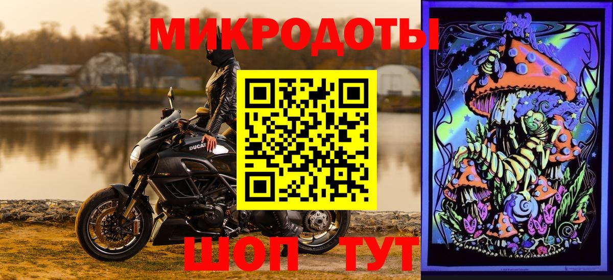 Галлюциногенные грибы Cubensis Выборг