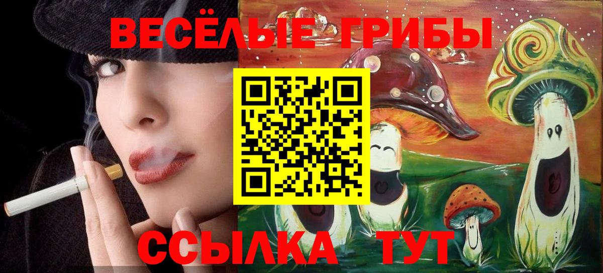 Выборг  Галлюциногенные грибы прущие грибы  где найти   Вход с VPN 